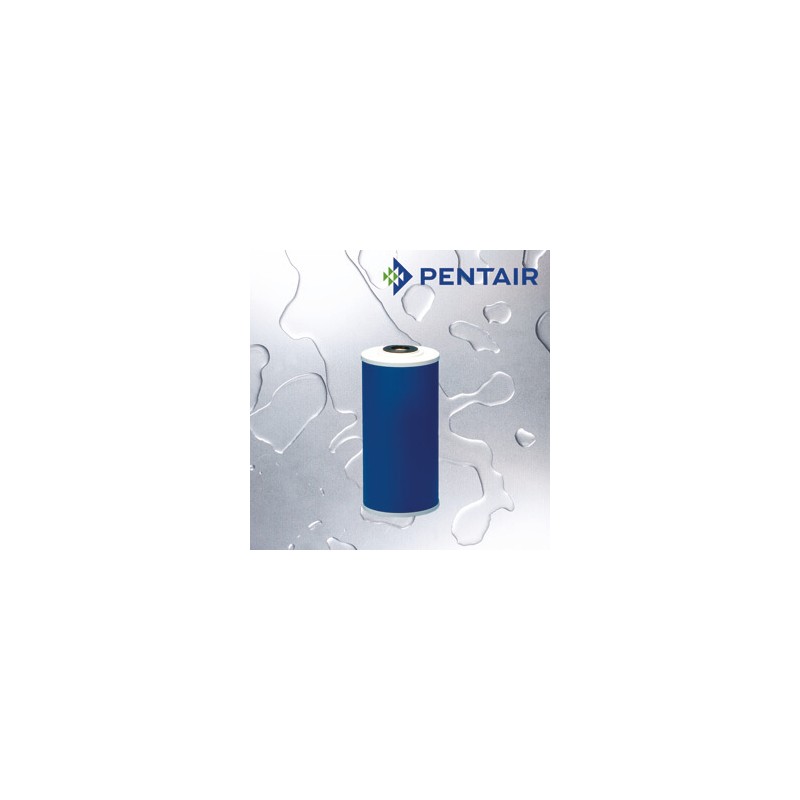 Pentair-Pentek 10" Big Blue GAC Filter Cartridge