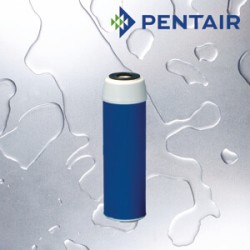 Pentair-Pentek 10" GAC Filter Cartridge