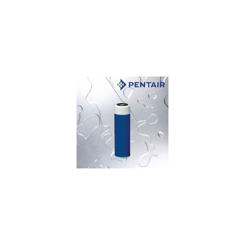Pentair-Pentek 10" GAC Filter Cartridge