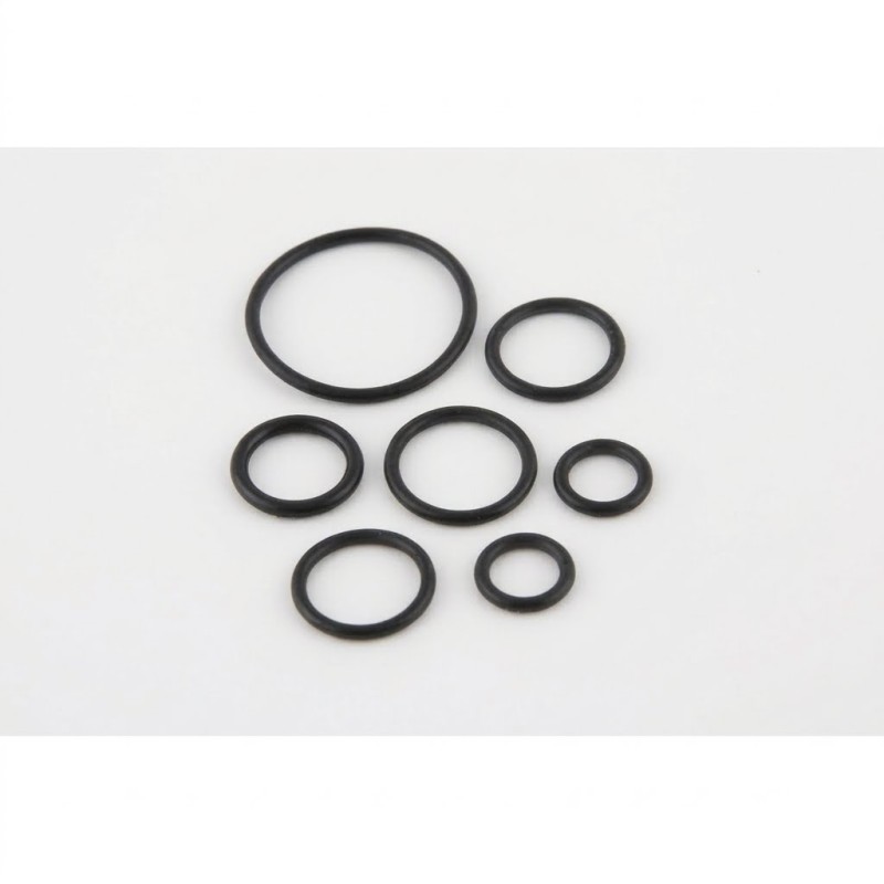 Pentair-Fleck 5600 Injector Housing O-Ring Set